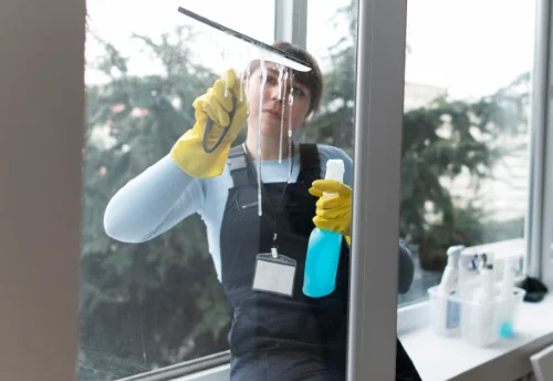 Nettoyage de vitres intérieures et extérieures à Briou